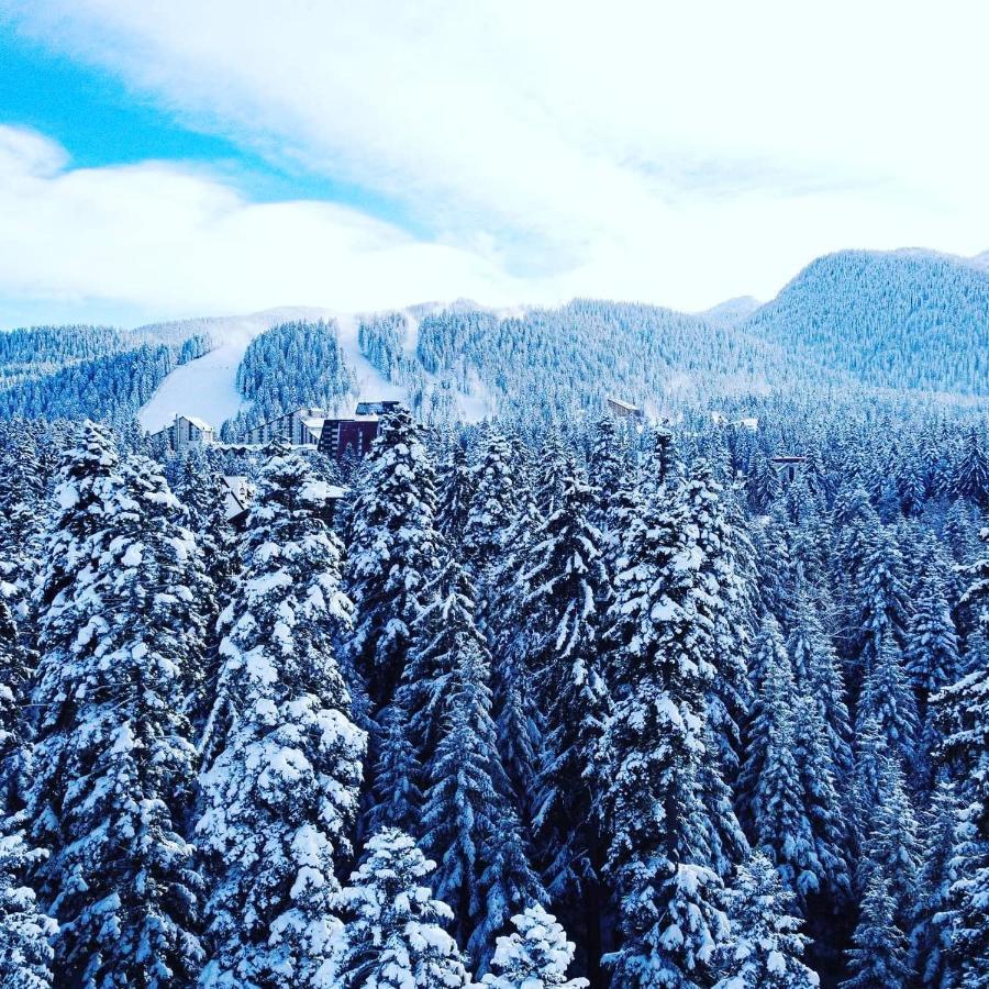 Mountain Paradise In Aparthotel Borovets Gardens Zewnętrze zdjęcie