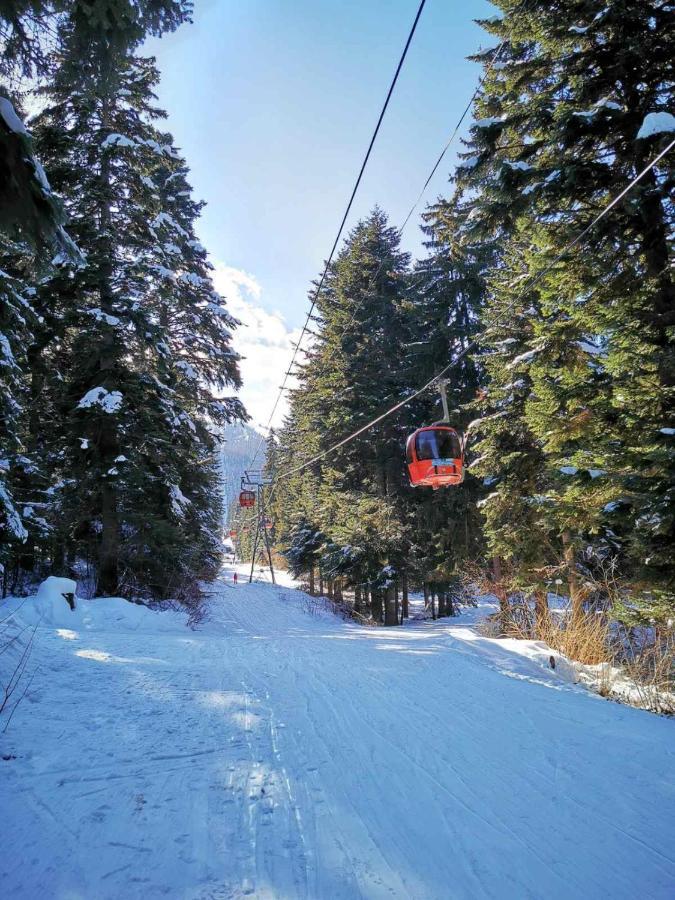 Mountain Paradise In Aparthotel Borovets Gardens Zewnętrze zdjęcie